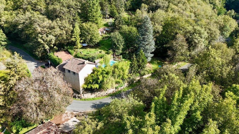 Bird's eye view, Garden view