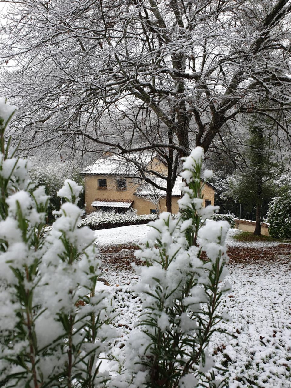 Property building, Natural landscape, Winter