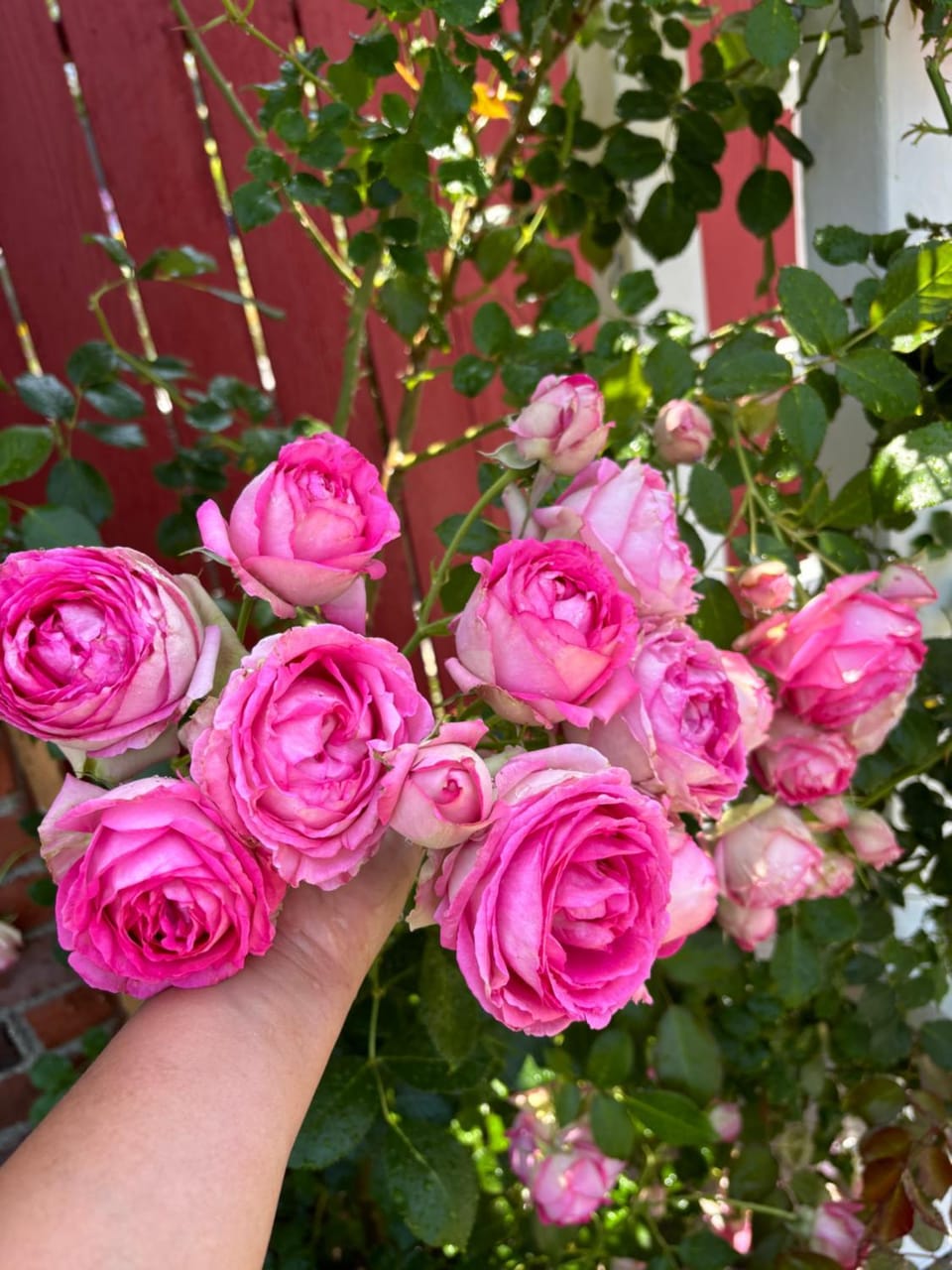 In a quiet neighborhood near the Main Street-Room C Vacation rental in Rowland Heights