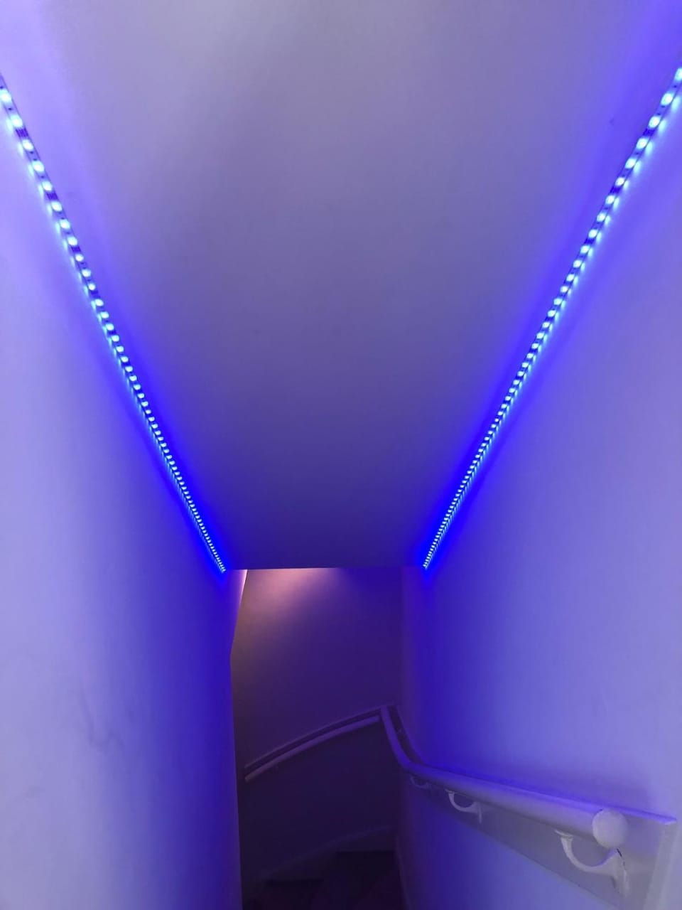 Bright Family Villa on Dune in Wassenaar Villa in Wassenaar