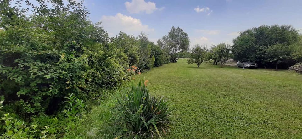Summer, Garden