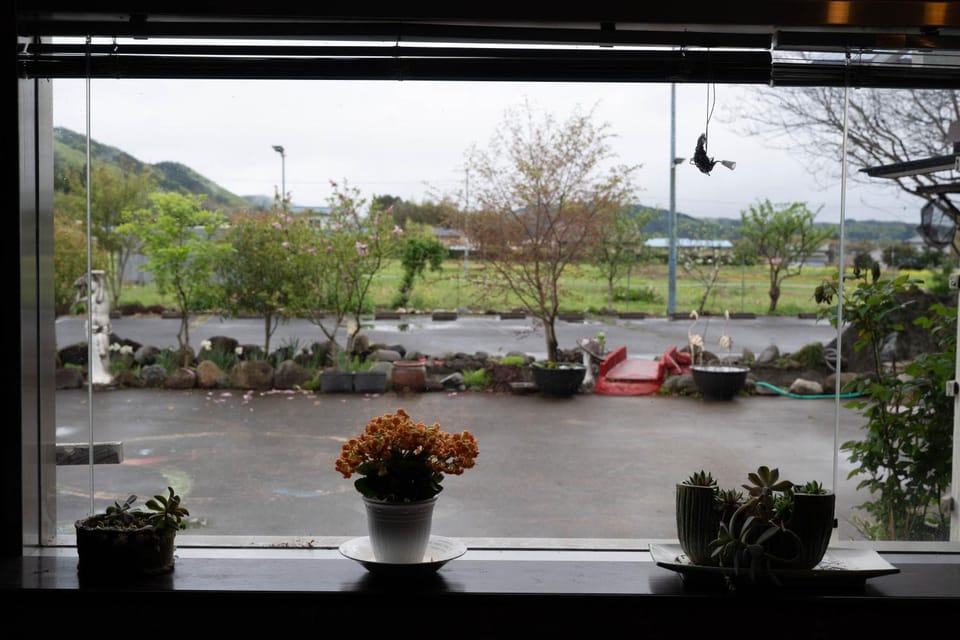 Natural landscape, Garden