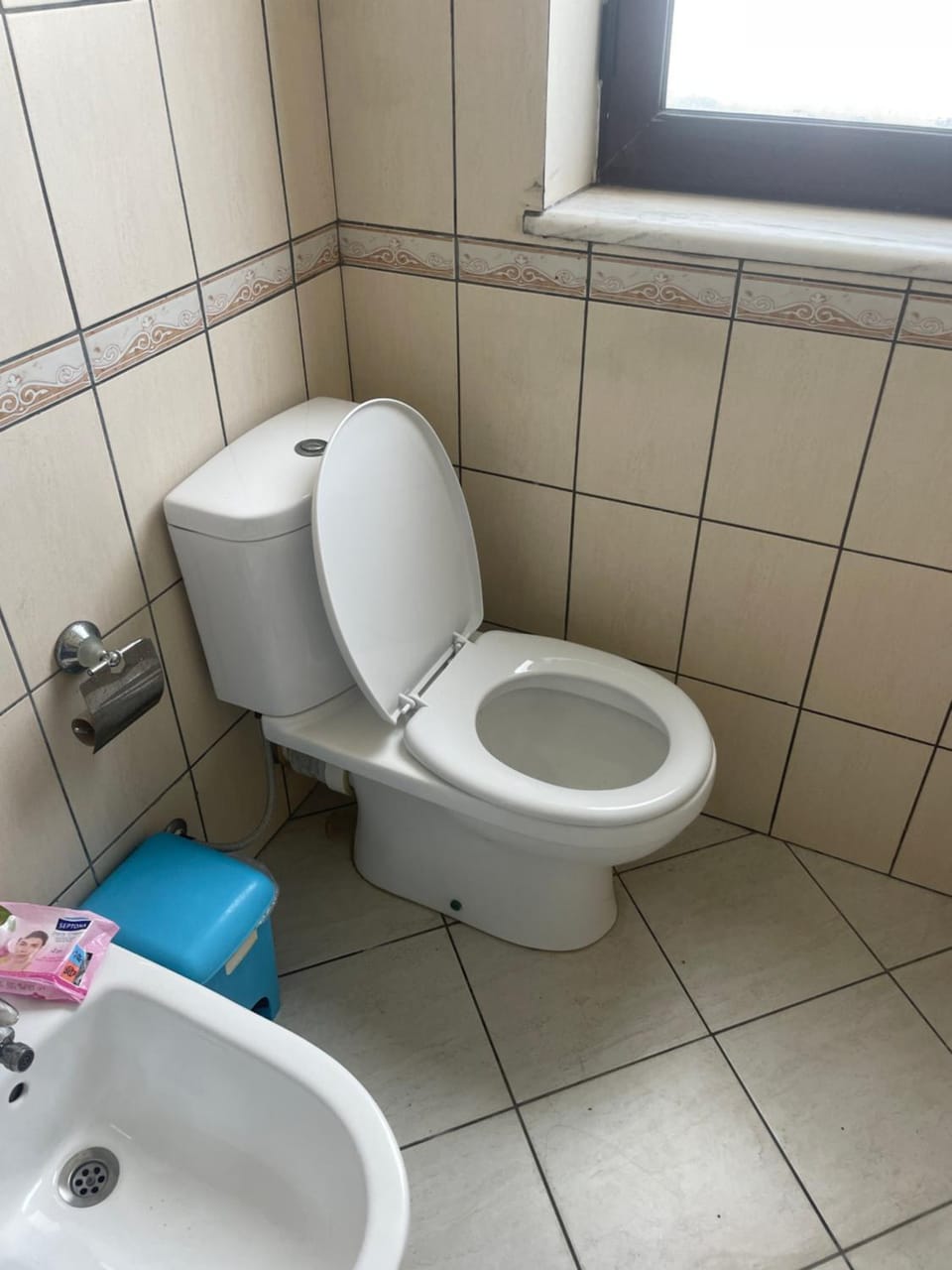 Toilet