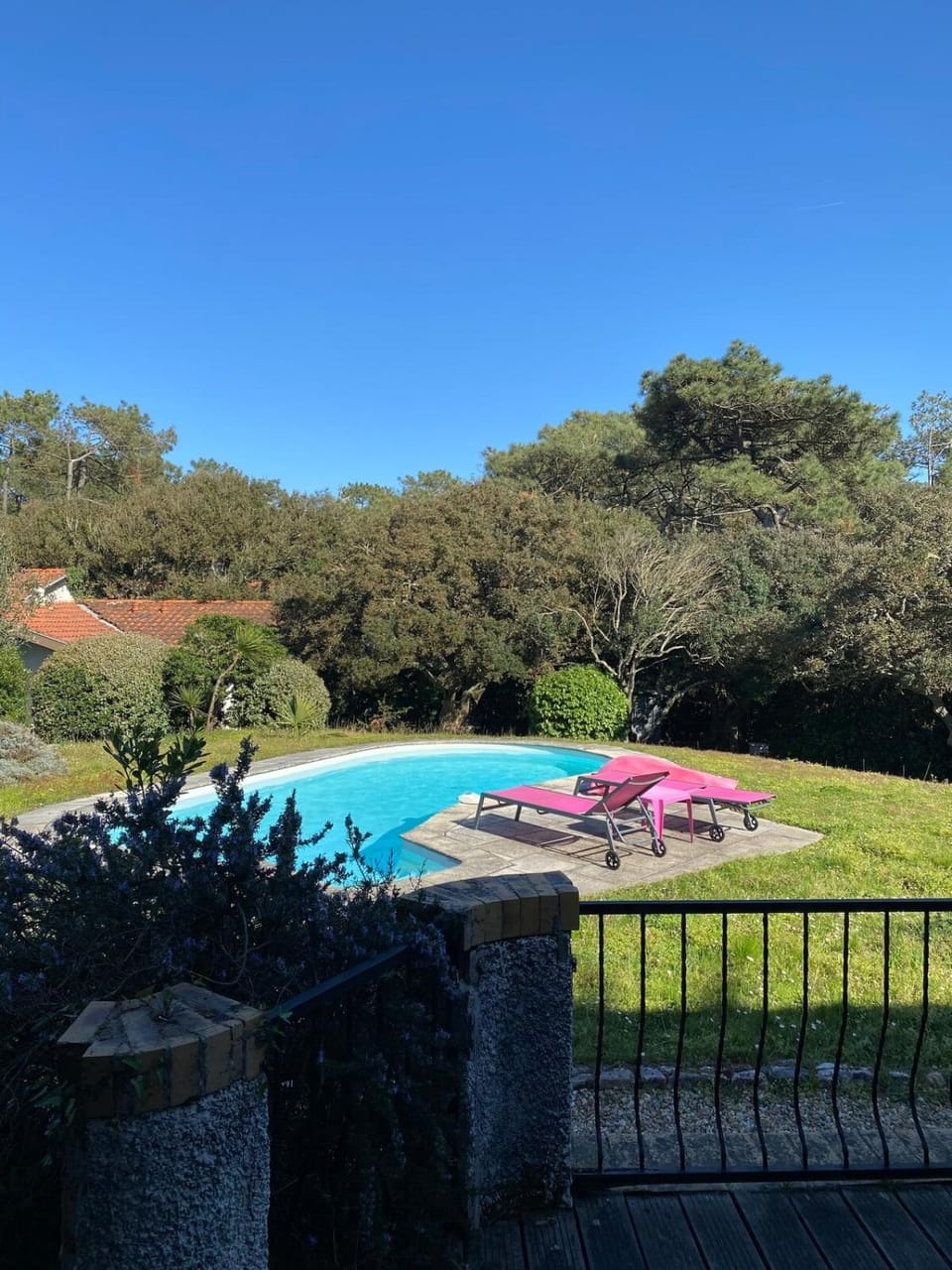 Natural landscape, Garden, Garden view, Pool view, Swimming pool, sunbed
