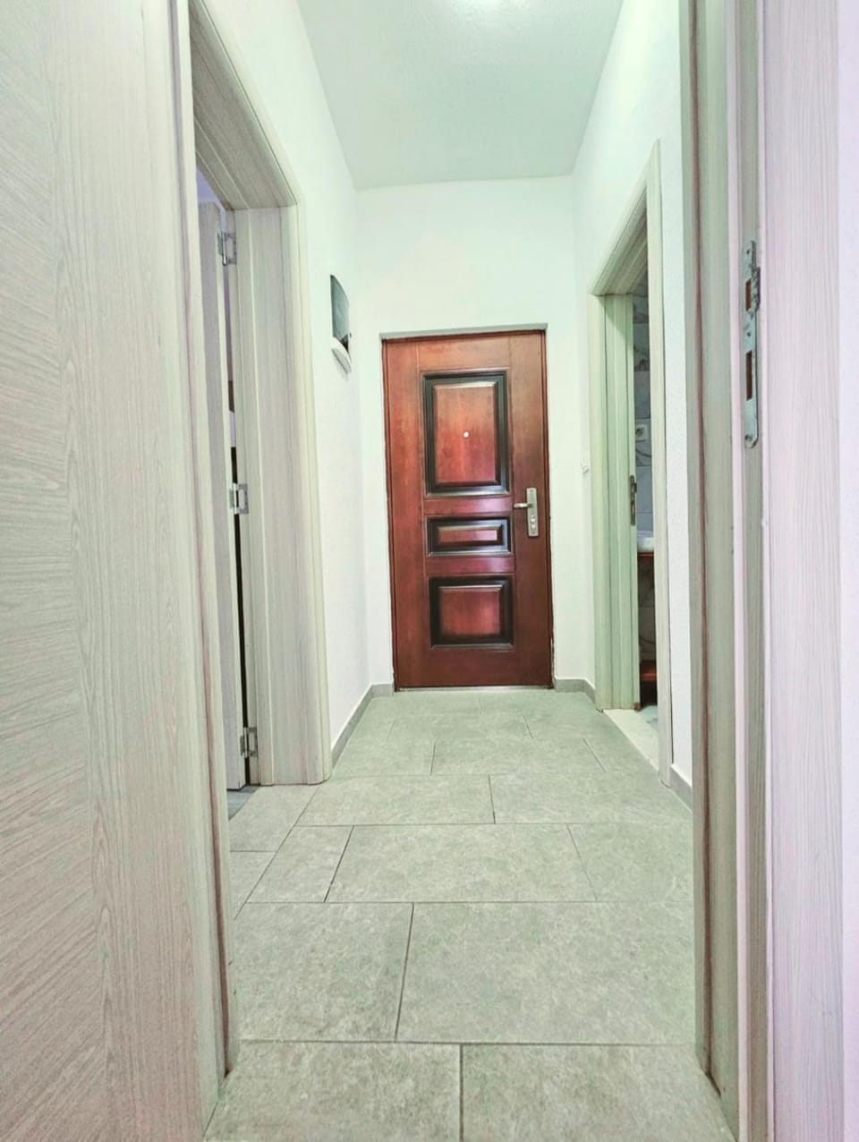 Apartman Sofija Apartment in Kotor Municipality
