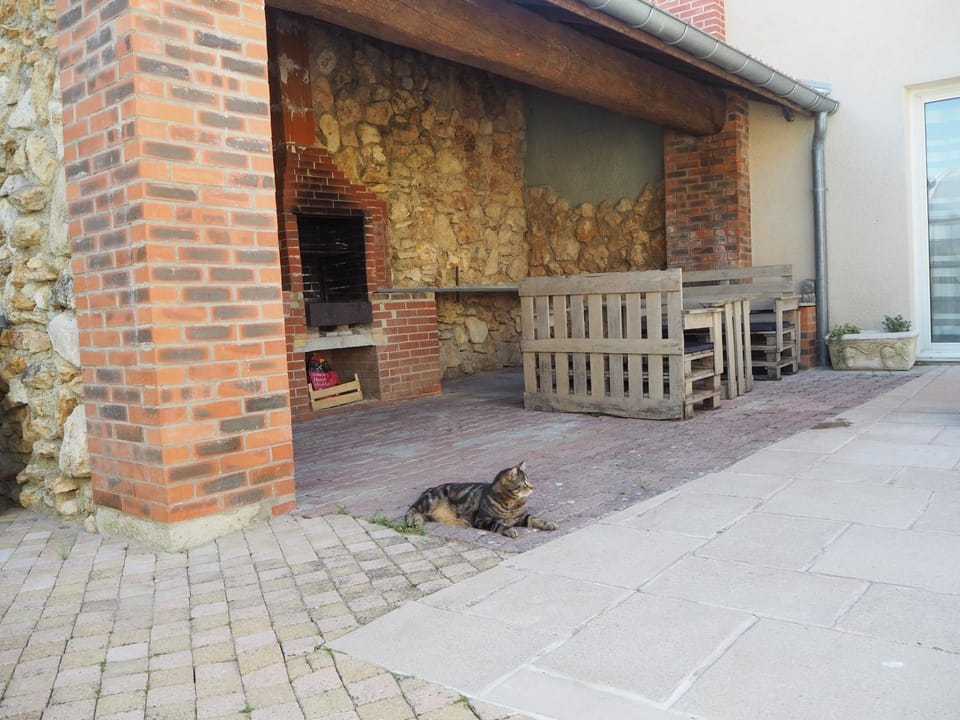 BBQ facilities