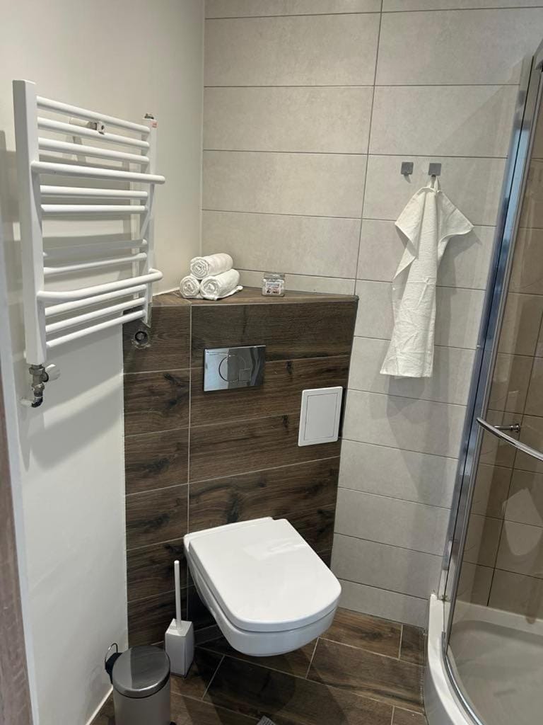 Toilet, Bathroom, towels