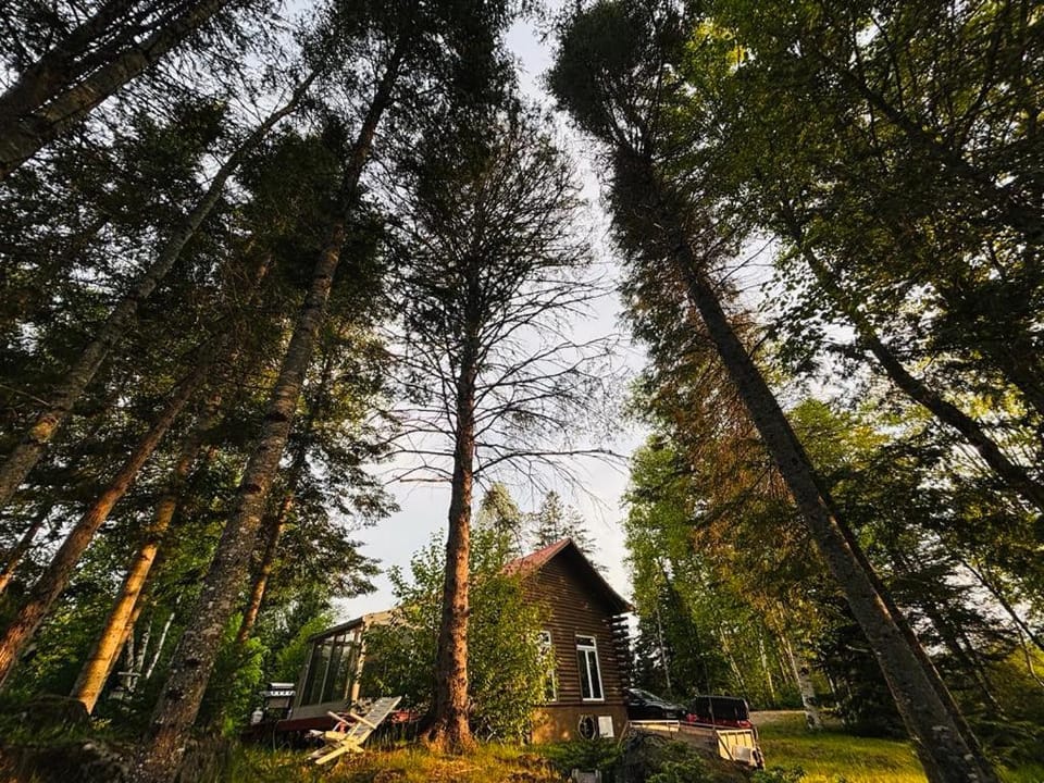 Whispering pines cabin Cabin in Ontario