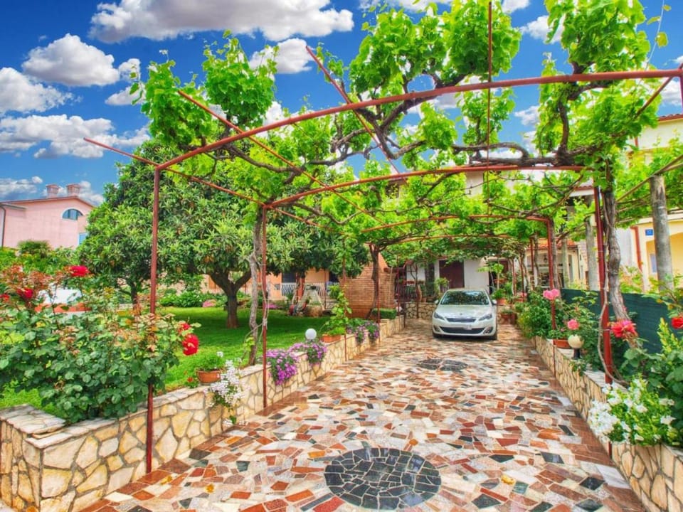 Patio, Garden