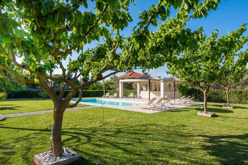 Garden, Garden view, Pool view