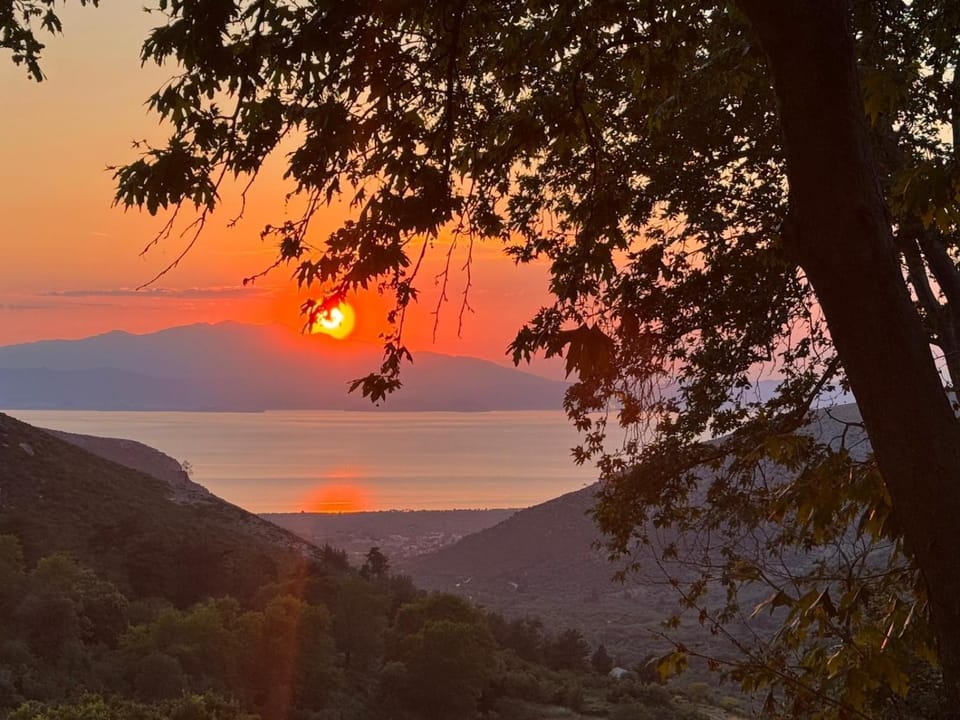 Matias Kastanies Appartements with privat parking Apartment in Thasos