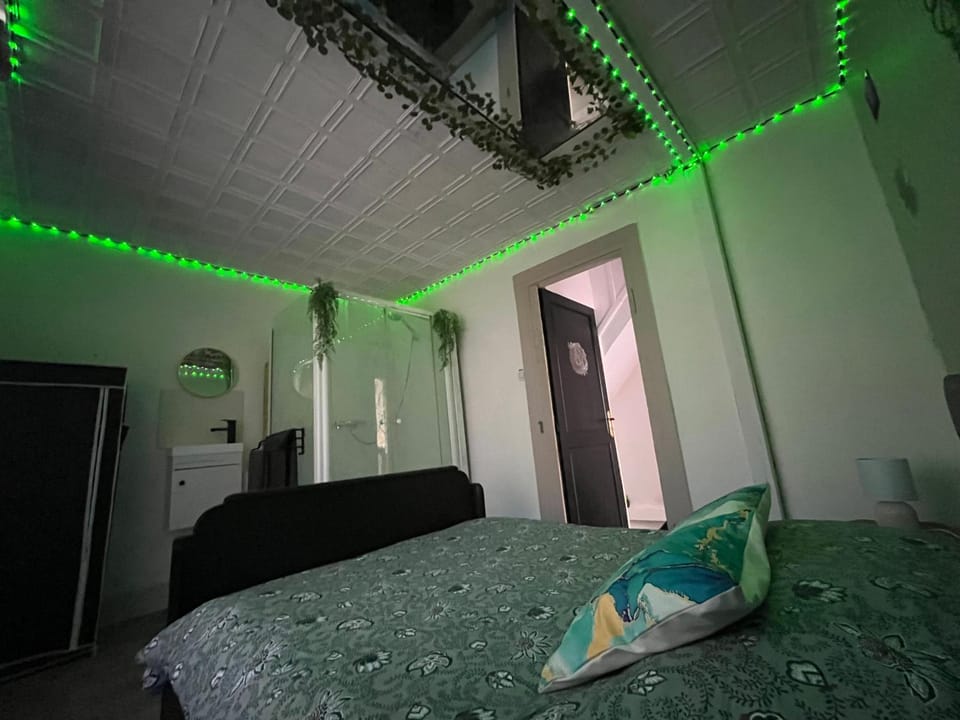 L'appart Apartment in Vosges