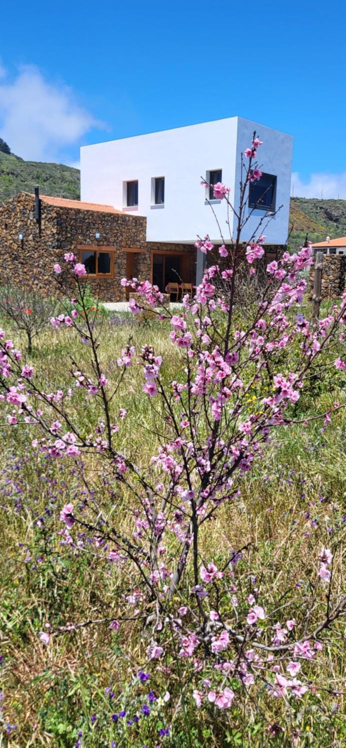 Property building, Spring, Natural landscape, Garden view
