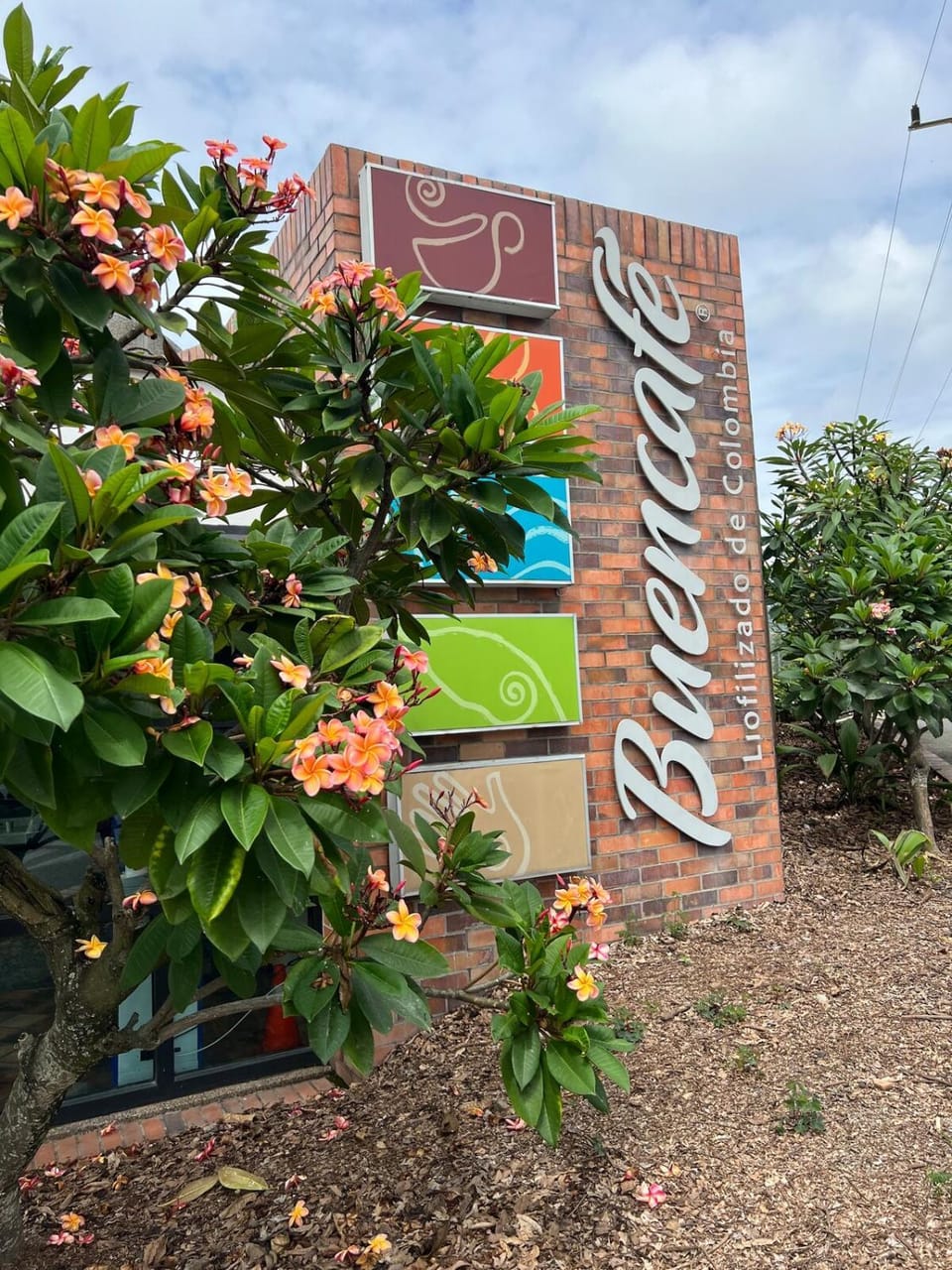 Hummingbird Apartment in Risaralda