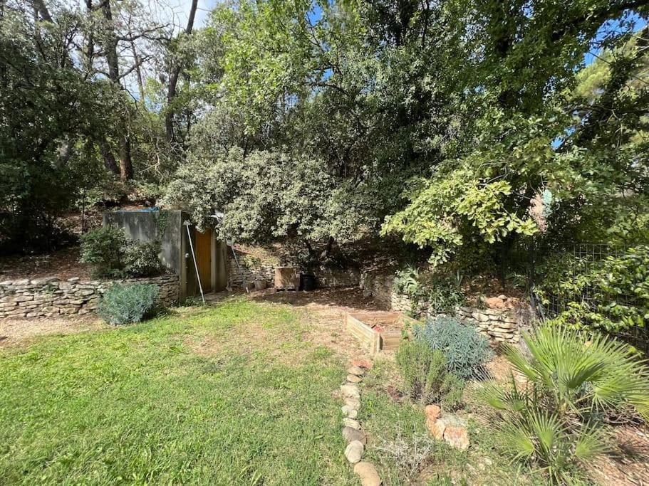 Natural landscape, Garden