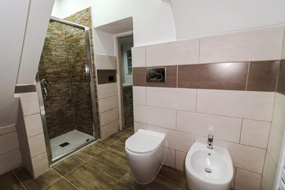 Shower, Toilet, Bathroom, bidet