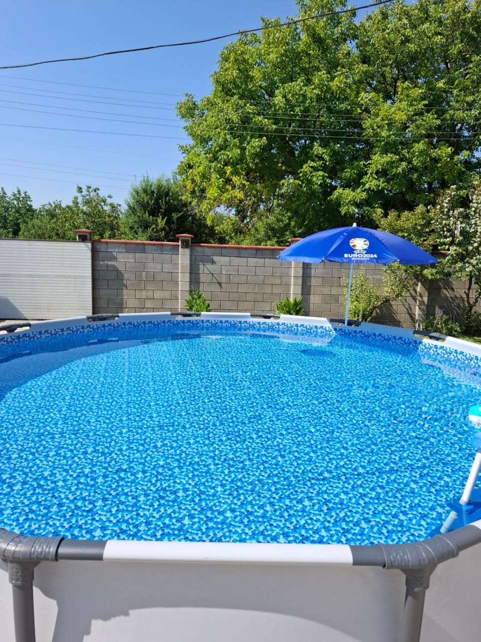 Day, Pool view, Swimming pool, sunbed