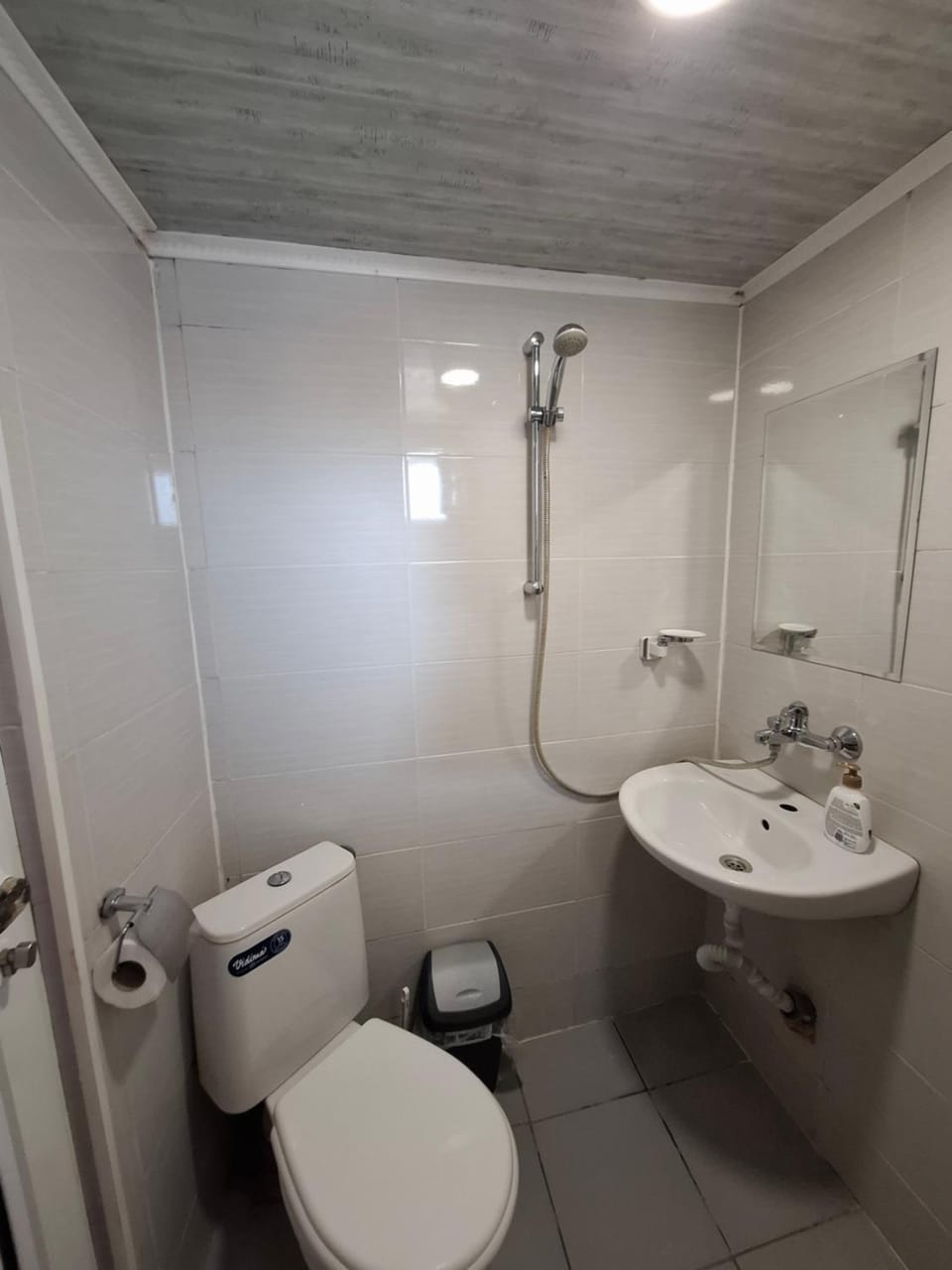 Shower, Toilet, towels