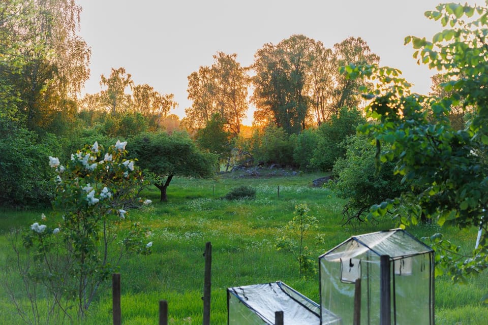 Garden view
