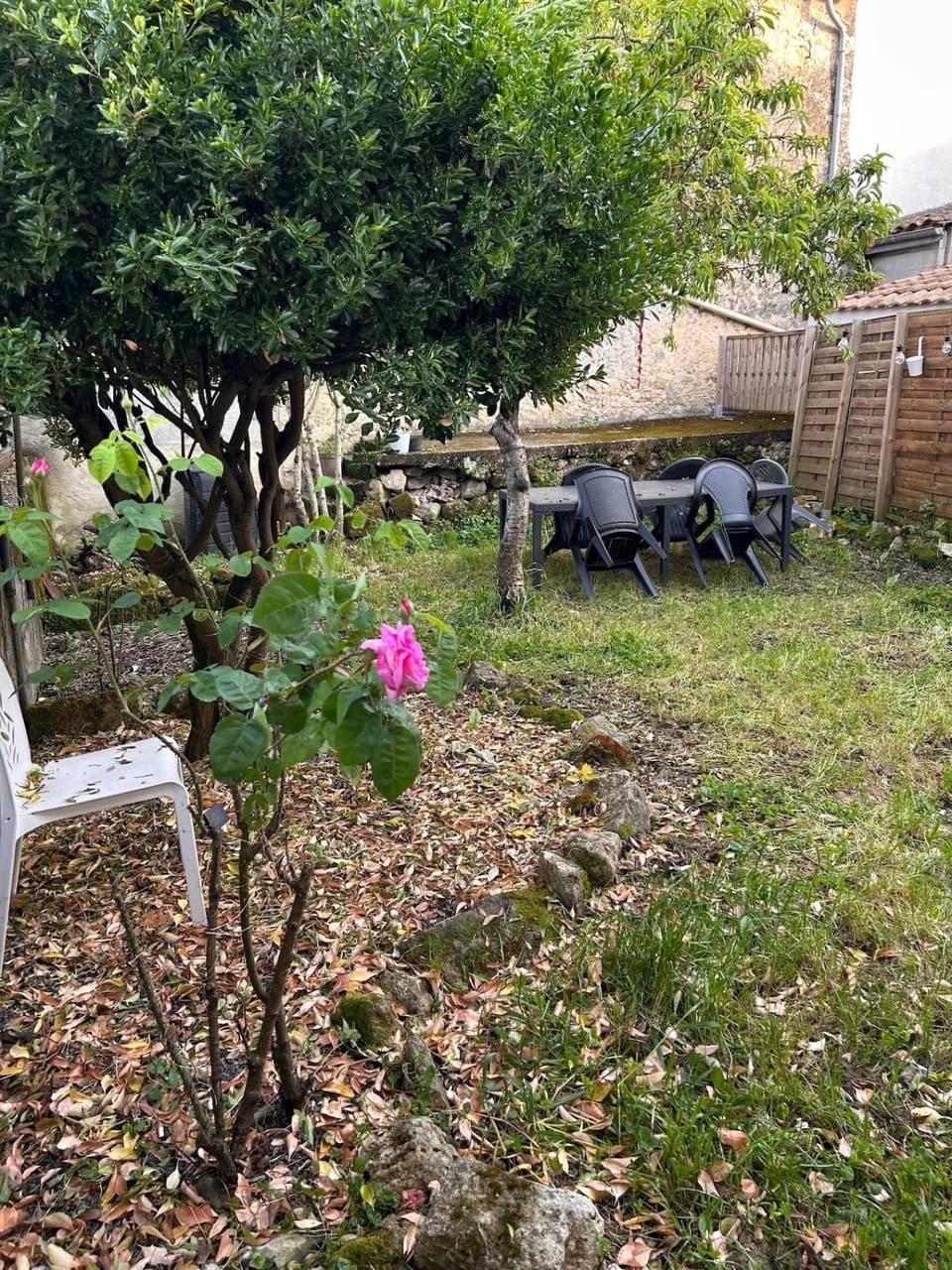 Garden, Garden view