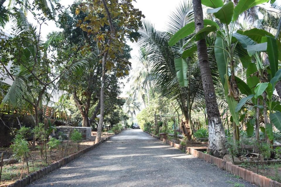Natural landscape, Garden, Garden view