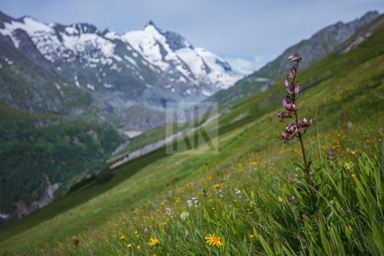 Nationalpark-Camping Großglockner Campground/ 
RV Resort in Carinthia, Austria