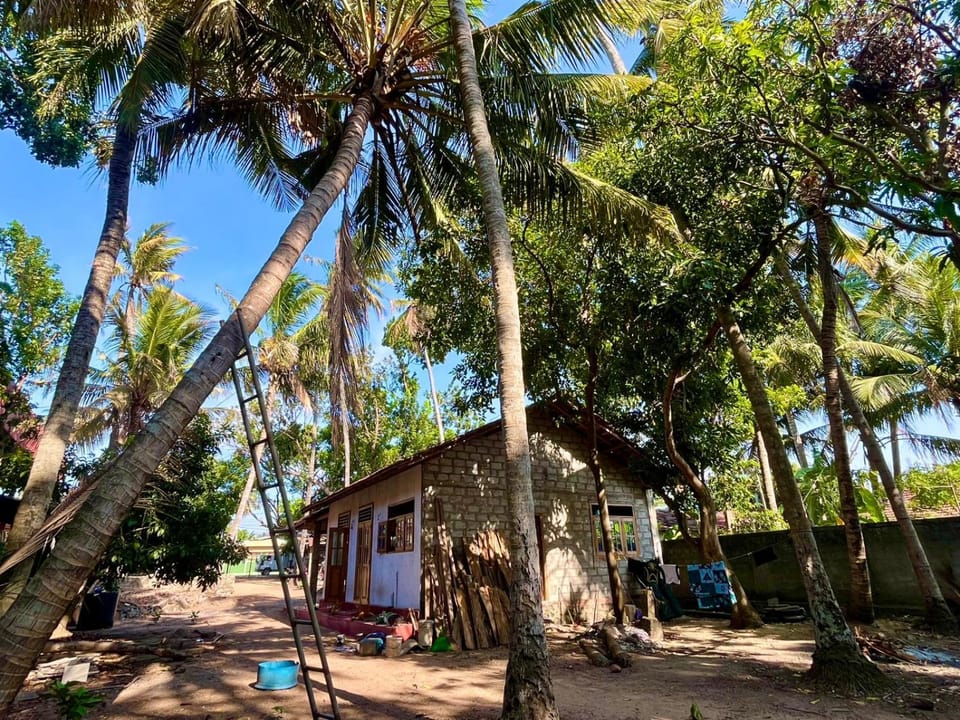 Farmhouse Homestay Hostel in Negombo