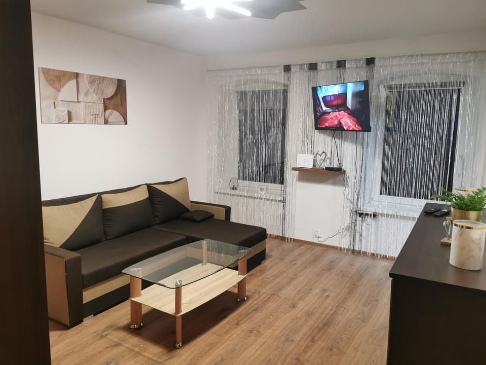 Nikola Apartment in Lower Silesian Voivodeship