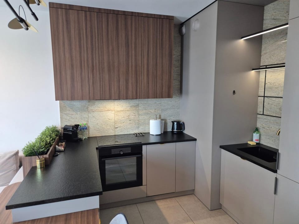 SOKOLSKA 30 TOWERS apartments - KLIMATYZACJA- LUX- PARKING- SAUNA- GYM -and the BEST VIEW Apartment in Poland