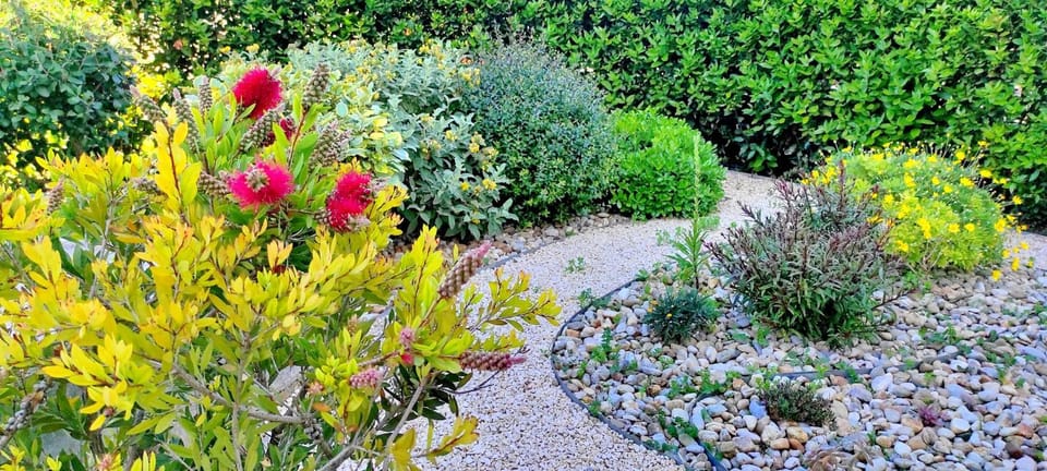 Spring, Day, Garden