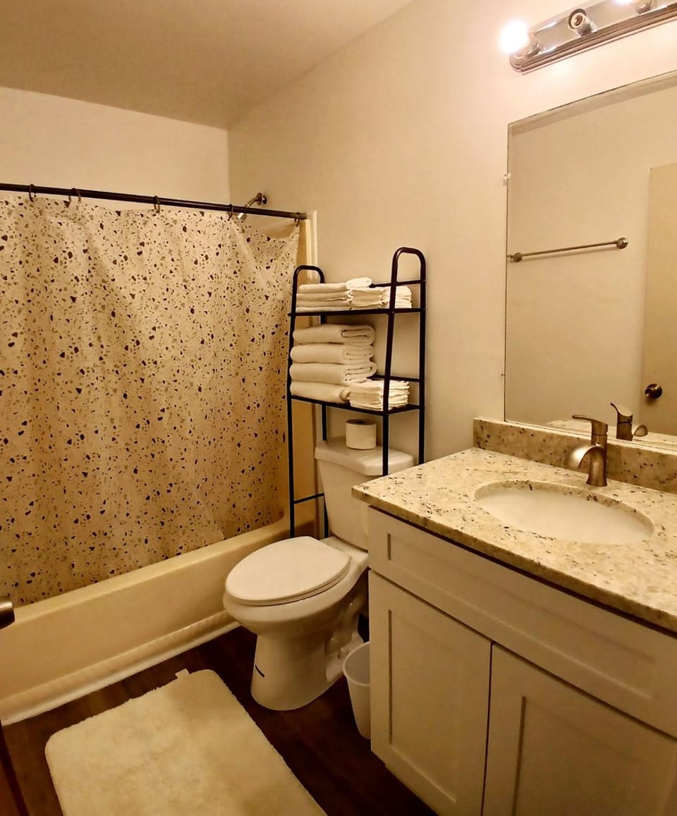 Shower, Toilet, Bathroom, Bath, towels