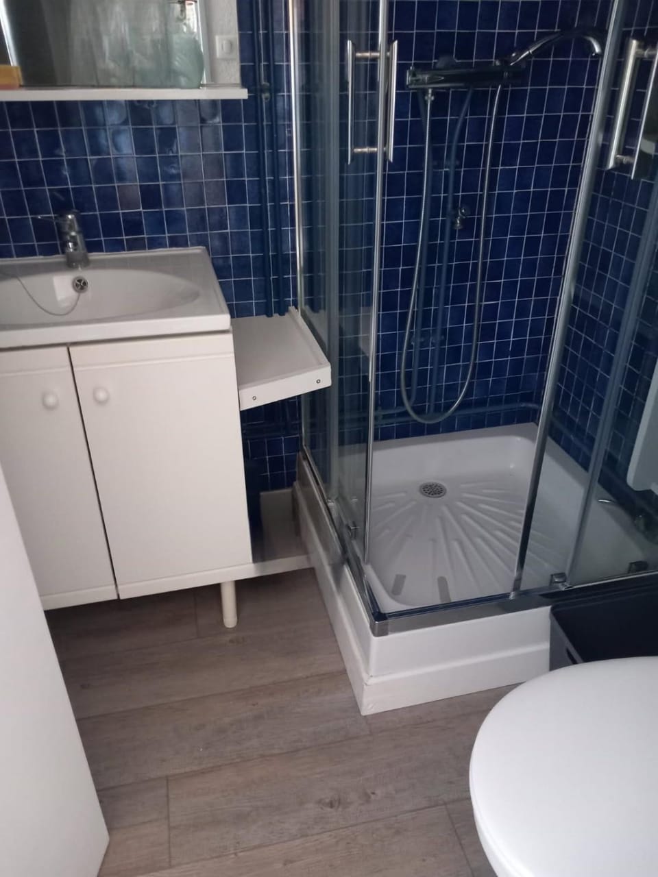 Shower, Toilet, Bathroom
