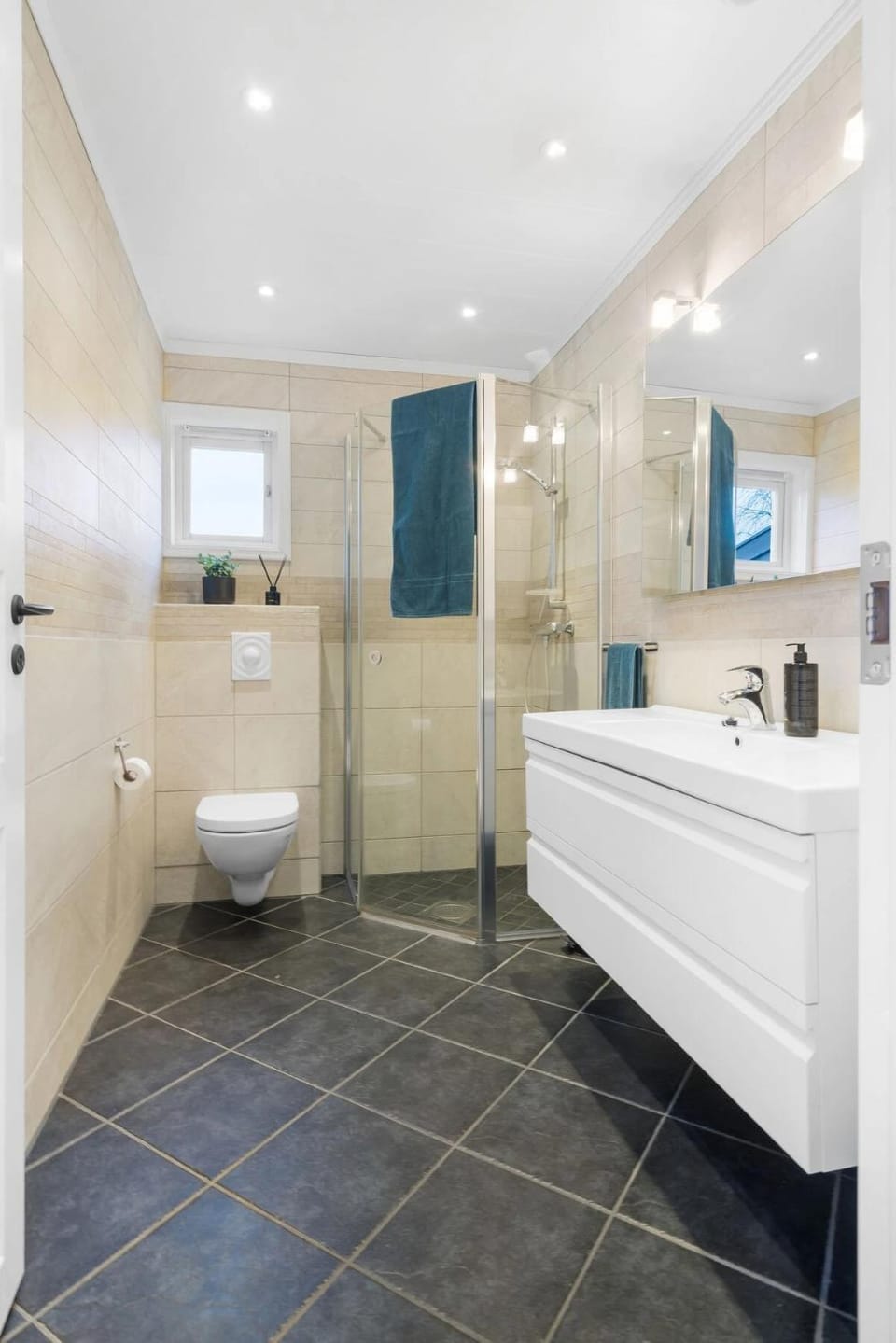 Shower, Toilet