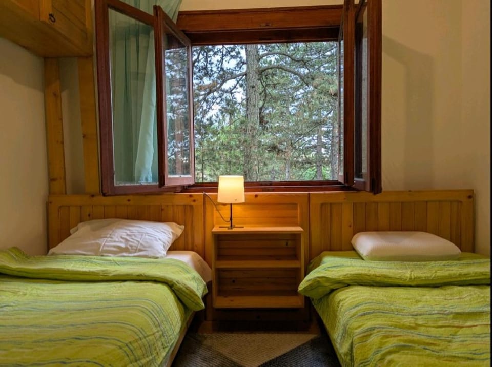 Vikendica Vidik House in Zlatibor District, Serbia