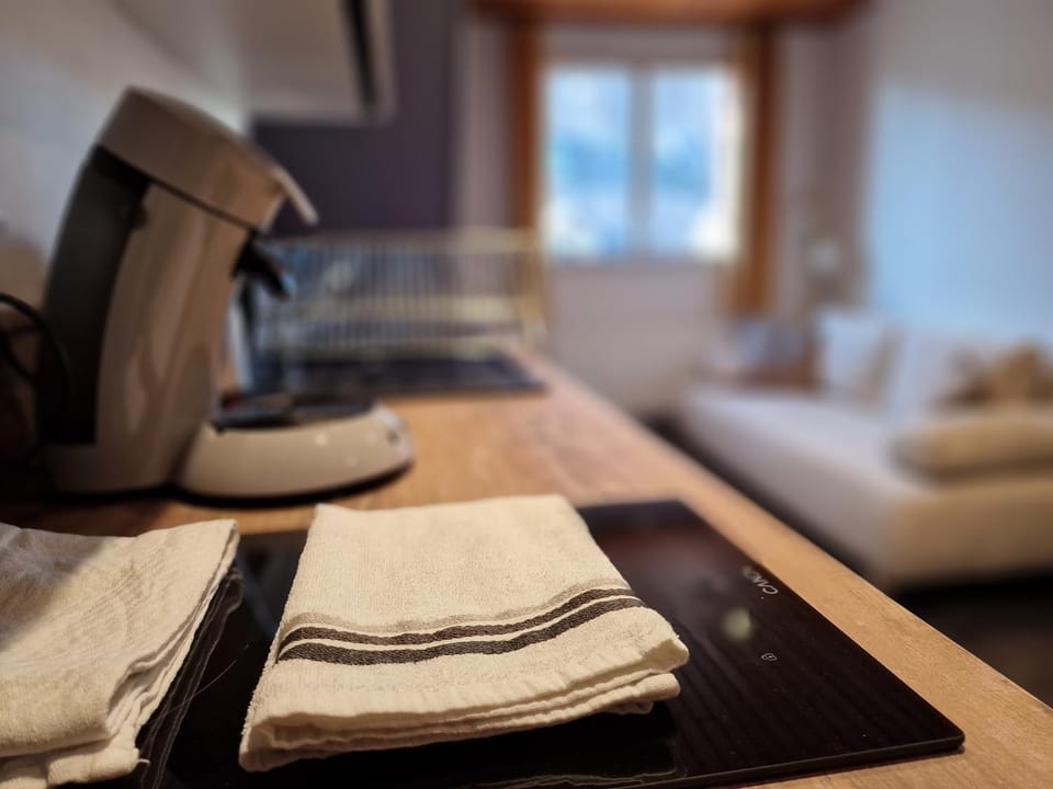 La Barroude Apartment in Occitanie