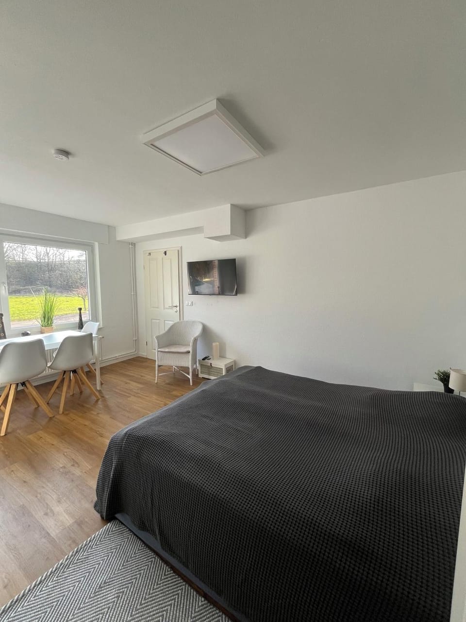 Bed, Living room, Photo of the whole room