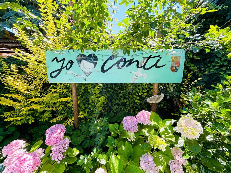 Costa Morena Bed and Breakfast in Constitucion