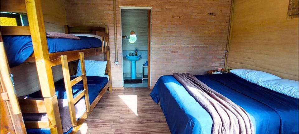 Bed, Photo of the whole room, Bedroom, bunk bed
