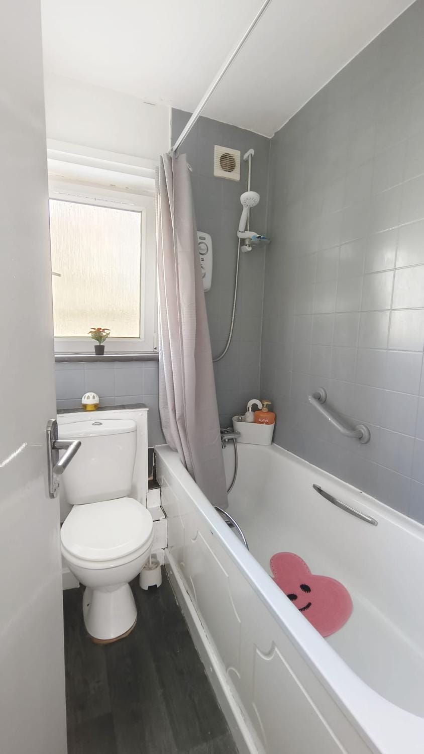 Shower, Toilet, Bathroom, Bath