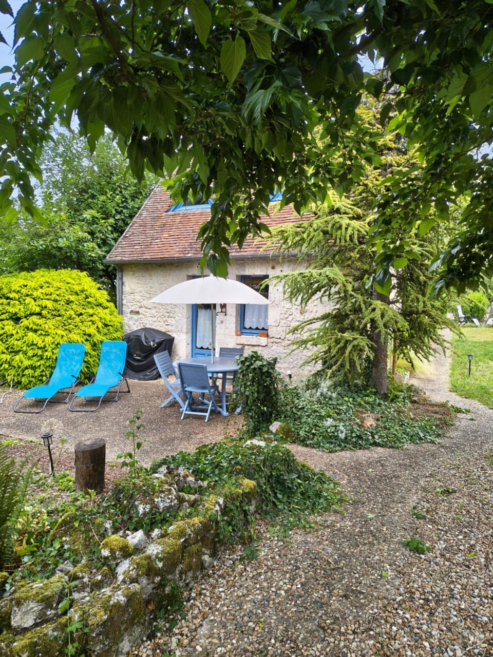 Natural landscape, Garden, Garden view