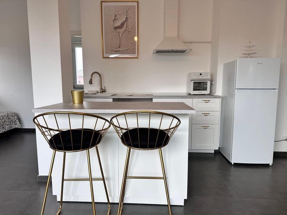 Attico tra le stelle - amazing deluxe app with terrance & box by Home a porter Apartment in Turin