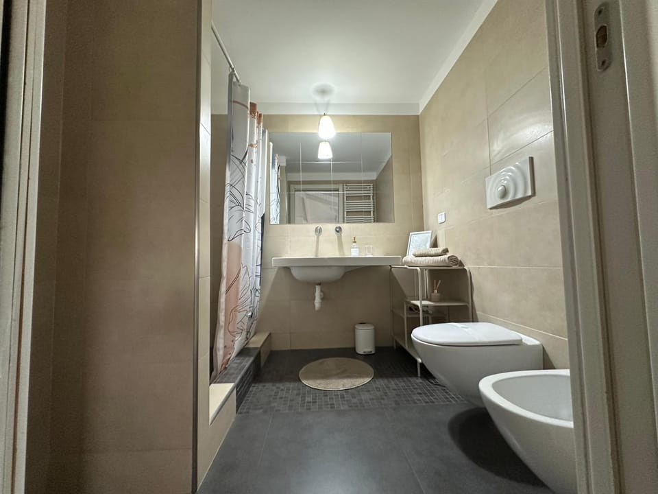 Shower, Toilet, Bathroom, bidet