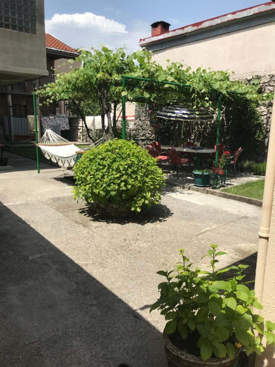 Garden view