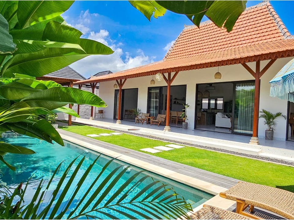 Property building, Garden, Pool view