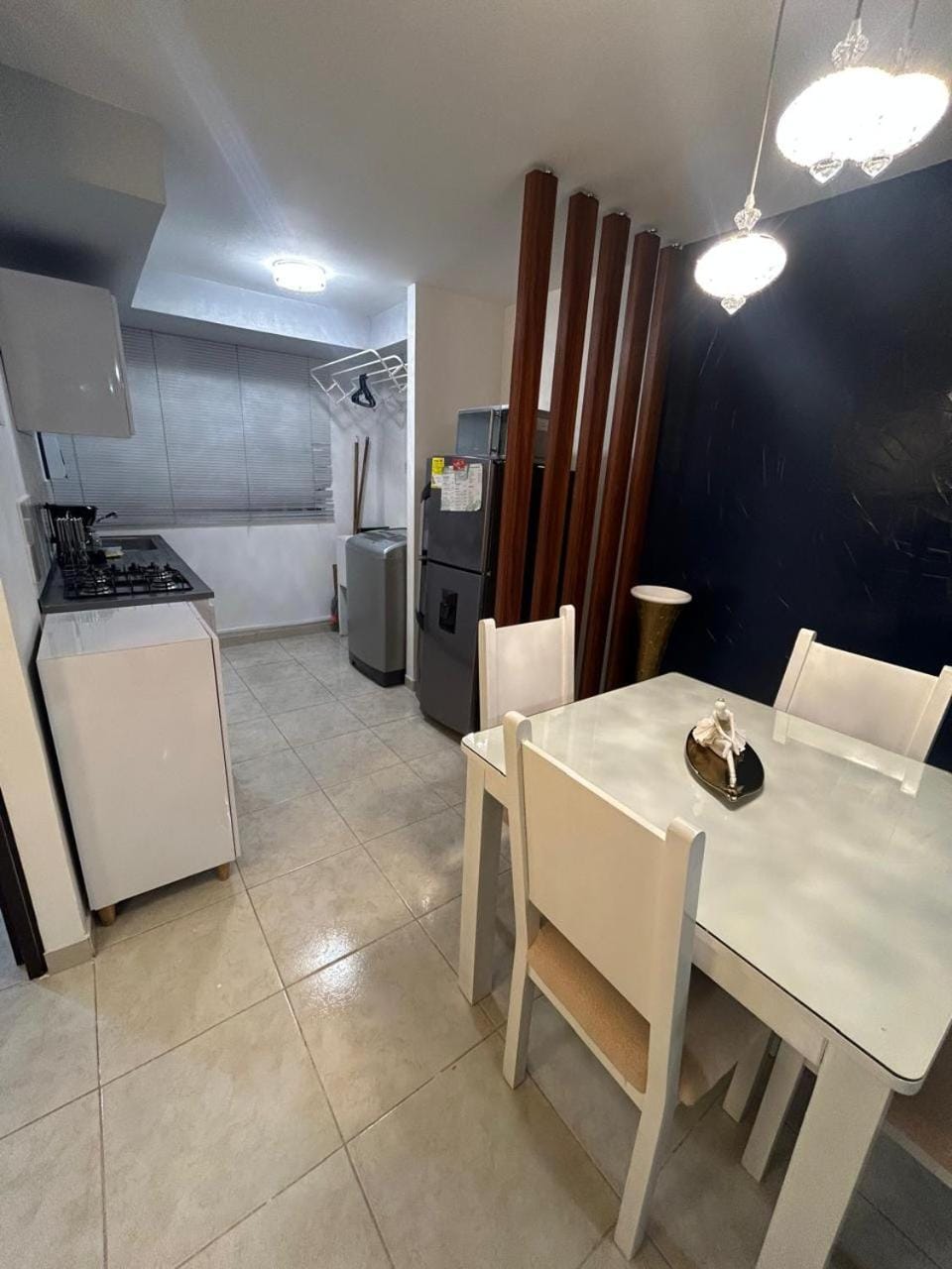 Kitchen or kitchenette, Dining area, oven, washing machine