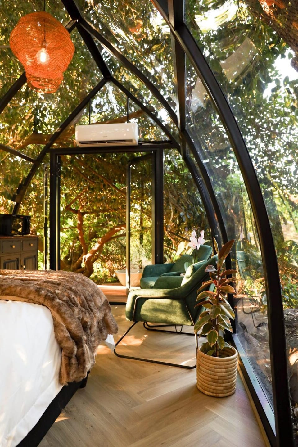 De Nest - Clear Glass Tree Cabin Cabin in Western Cape