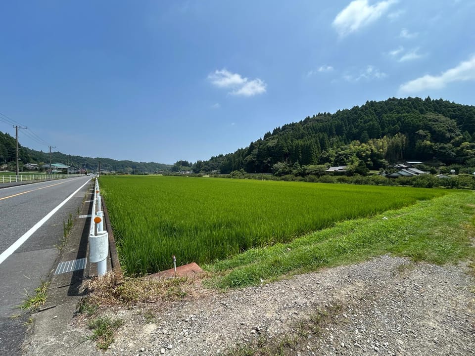 Day, Neighbourhood, Natural landscape