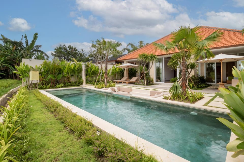 Garden view, Pool view, Swimming pool, sunbed