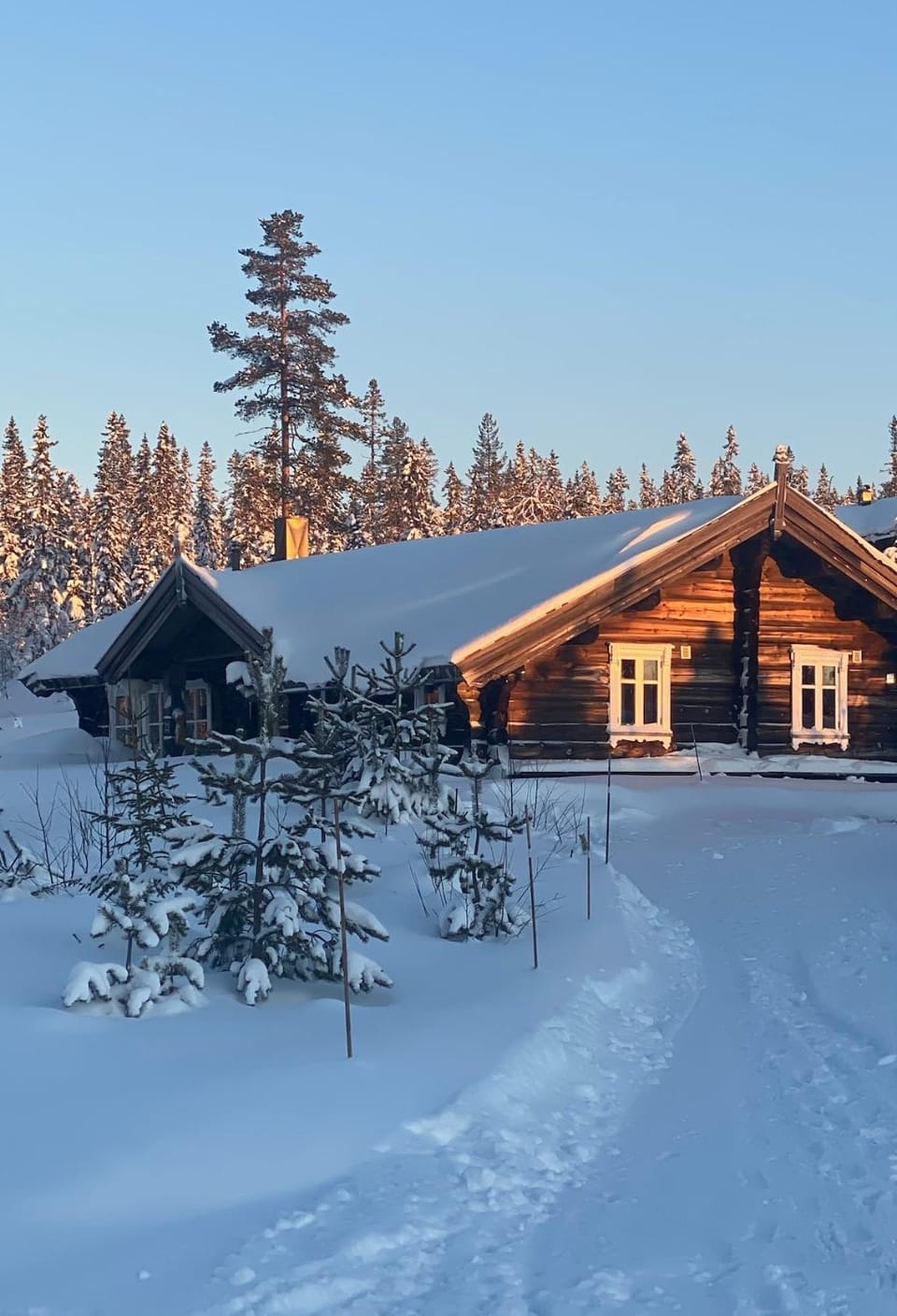 Large and cozy family cabin with sauna Cabin in Innlandet
