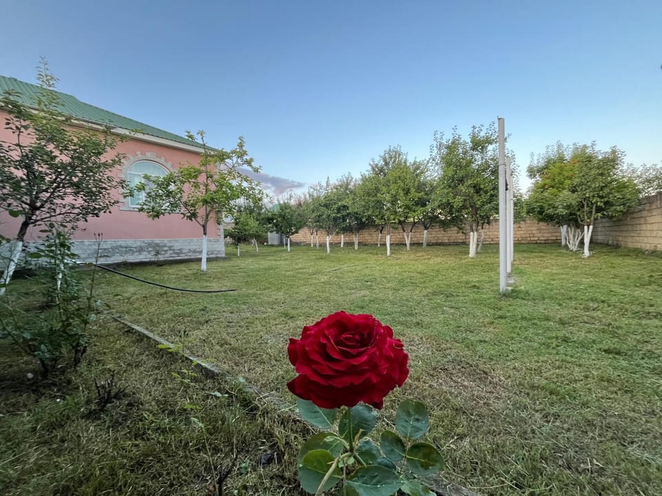 Gabala Home House in Azerbaijan